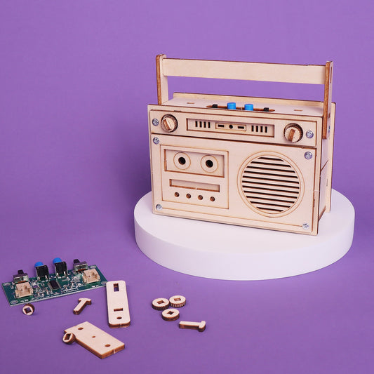 Zea Post 60 Seconds Voice Recorder DIY Kit, Educational STEM Toy
